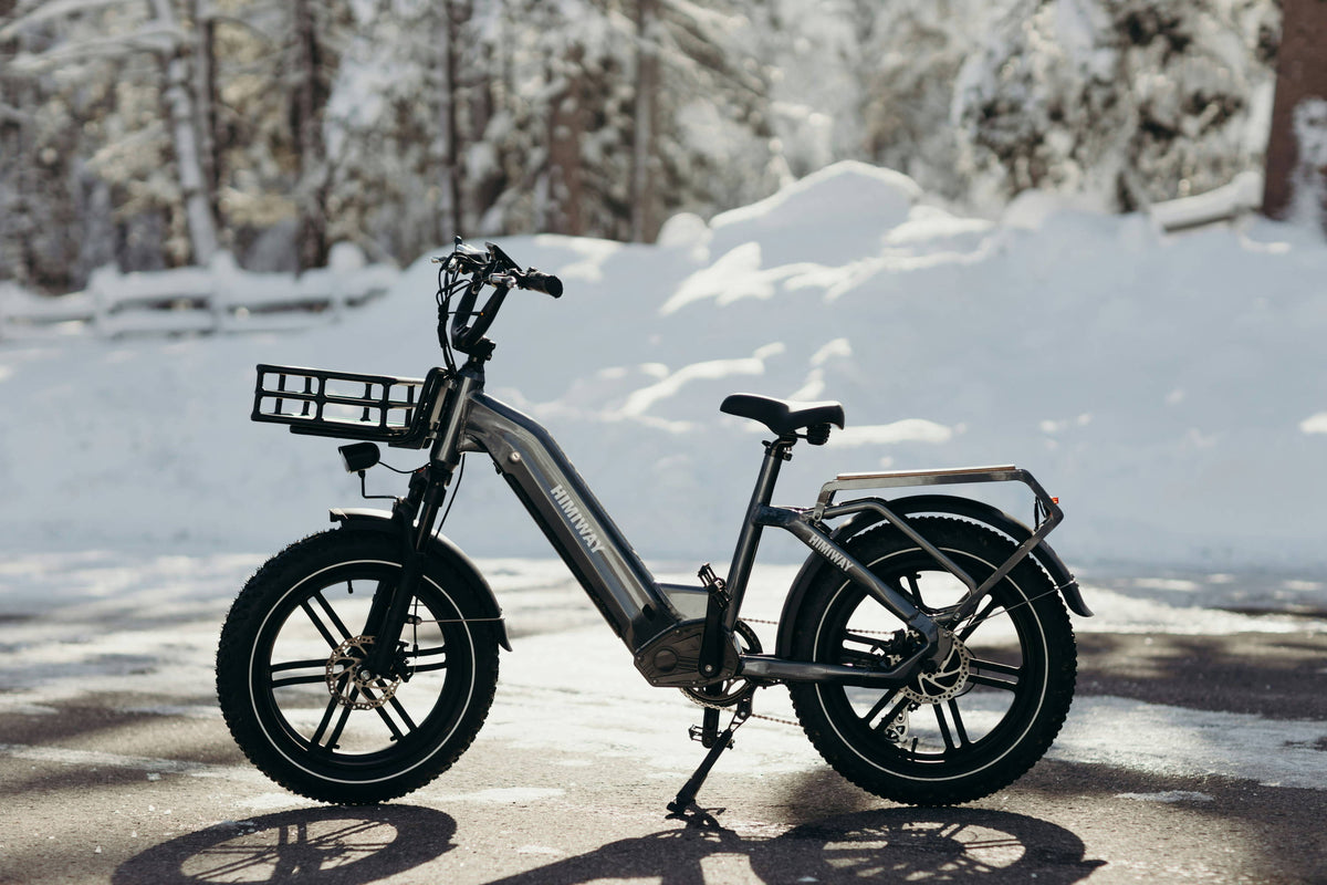 auto fahrradanhänger gebraucht CROOZER faltbarer Lykke / refurbished Color:Satin Burnt Gold Metallic / Sandstone Metallic vorderrad Himiway Rambler Upgraded E-Bike
