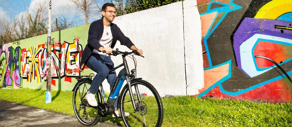 Gebrauchte Trekking-E-Bikes: Kaufratgeber