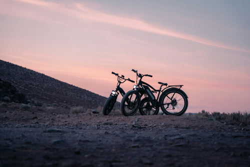 E-Bikes für Einsteiger: Die Top 3 Modelle 2026