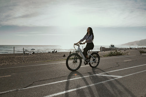 Gazelle oder Batavus? E-Bike-Marken im Vergleich