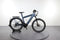 E.bikemanufaktur 15 Zehn Speed Performance