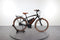 Riese & Müller Cruiser Vario