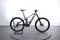 Orbea Wild H10