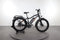 Rad Power Bikes RadRhino 5