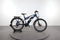 Raymon CrossRay FS E 4.0