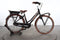 Gazelle Miss Grace C7+ HMB