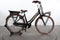 Gazelle Miss Grace C7+ HMB