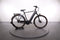Batavus E-Finez