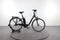 Raleigh Kingston 8