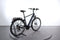 Pegasus Premio EVO 10 Lite