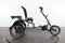 Pfautec Scoobo