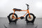 Ruff Cycles Lil Buddy