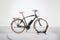 Riese & Müller Cruiser Urban