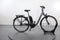 Raleigh Kingston 8