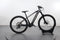 Trek Powerfly 7