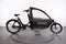 Bakfiets Cargo Long Classic Steps
