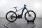 Bergamont E-Revox Premium Sport