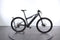 Trek E-Caliber 9.6