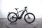 Giant Roam E+ GTS