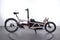 Riese & Müller Load 60 rohloff