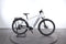 Corratec E-Power MTC 12S Gent