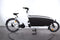 Urban Arrow Family Dual Battery