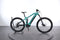 Haibike AllMtn 1