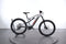 Lapierre Overvolt AM 5.5