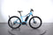 Trek Powerfly 5
