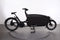Urban Arrow FamilyNext Pro