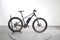 Orbea Wild 30