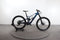 Trek Fuel EX-e