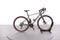 Cube Nuroad Race