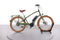 Electra Townie Go 5i Step Over