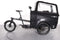 Black Iron Horse Polli 4