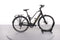 Trek FX+ 2