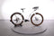 Ebike Das Original Offroad Pro C003