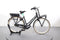 Gazelle MISS GRACE C7+ HMB