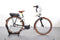 Riese & Müller Swing Vario