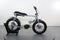 Ideal Ruff Cycles Elektro Lil' BUDDY CX