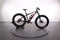 Fantic Fat Sport SE