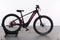 KTM Macina Team 272 Glorius