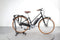 Electra Loft Go! 5i