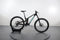 Propain TYEE CF 29