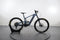 Santa Cruz Heckler 9