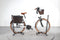 Riese & Müller Swing 2 City
