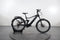 Bulls ICONIC EVO TR 1 750