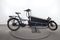 Riese & Müller Load 75 vario