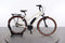 Riese & Müller Cruiser Mixte Vario Urban