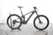 Mondraker Chaser